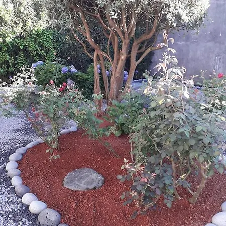 Casa Dos Arcos